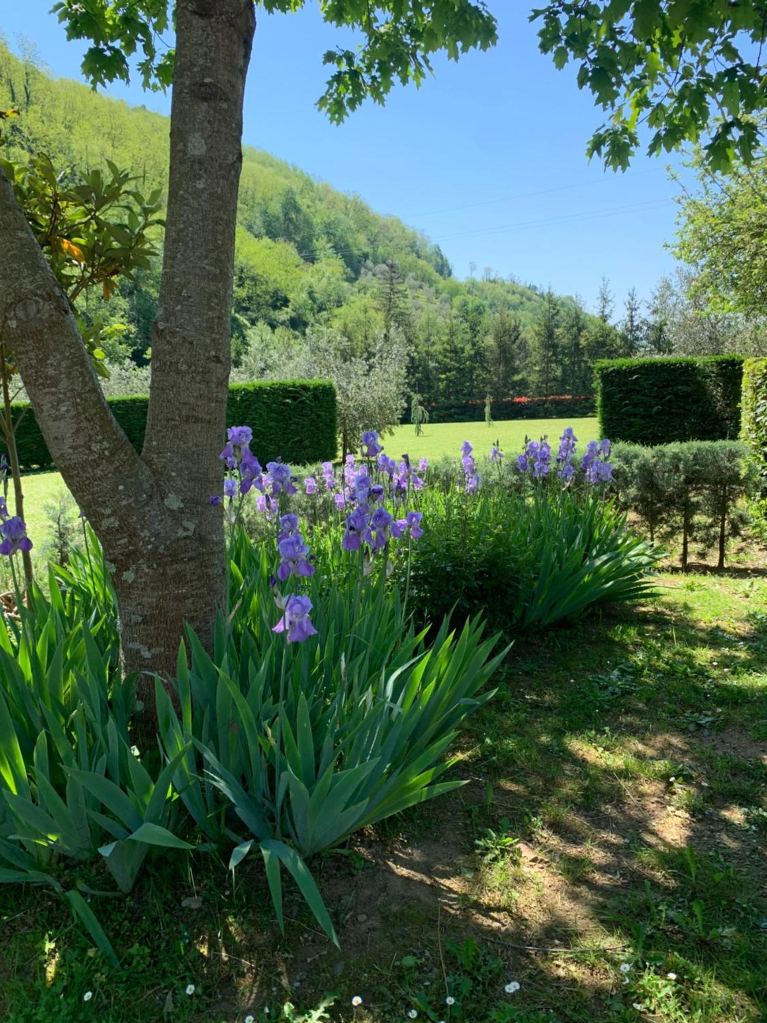 Podere Campofossato Pistoia Exteriör bild