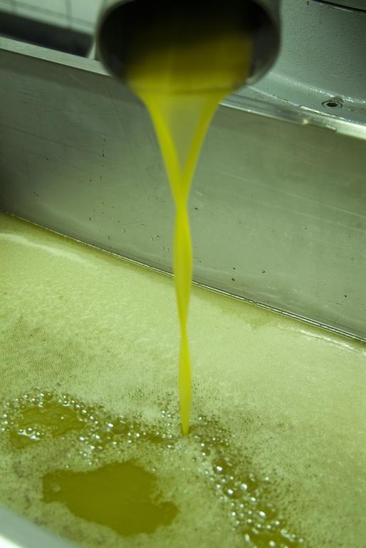 Podere Campofossato Pistoia Exteriör bild