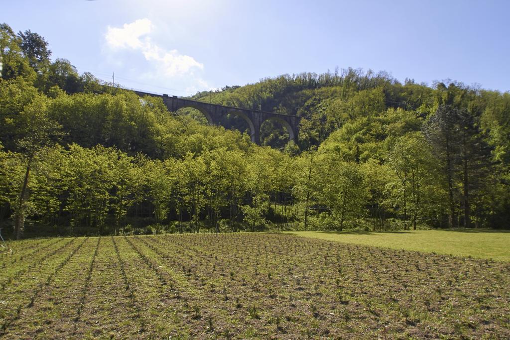 Podere Campofossato Pistoia Exteriör bild